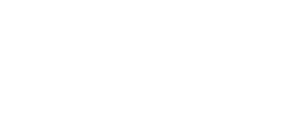 Borusan Next